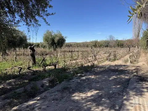 VENTA DE FINCA EN LUNLUNTA
