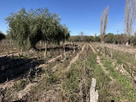 LA FALDA , Piso 0
