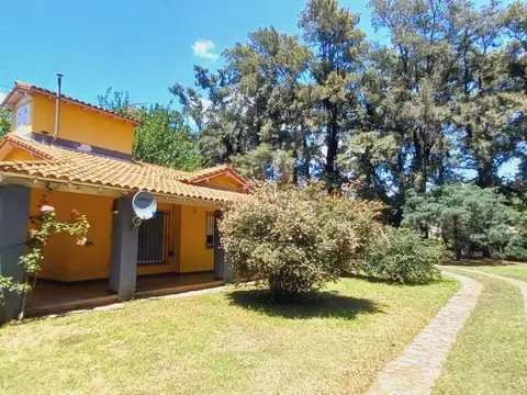 Julio Verne 4100