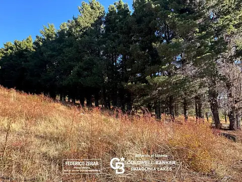 Venta de lotes con planos aprobados y financiación - Bariloche