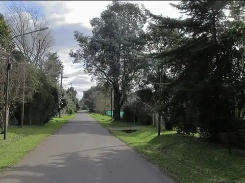 Ruta Provincial 40 100