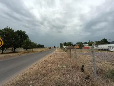 Terreno en Alquiler de 5800,0 m2