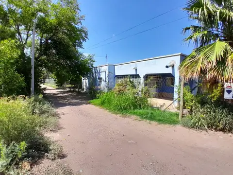FINCA EN PALMIRA - SAN MARTIN - MENDOZA