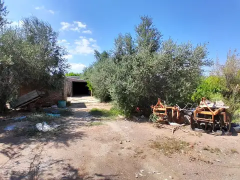 FINCA EN PALMIRA - SAN MARTIN - MENDOZA