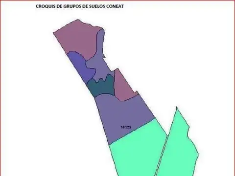 XINTEL(OTG-OTG-483) Campo - Venta - Uruguay, SAN JOSE