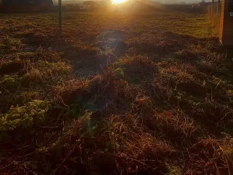 Terreno en Venta en El Hoyo, USD 25.000