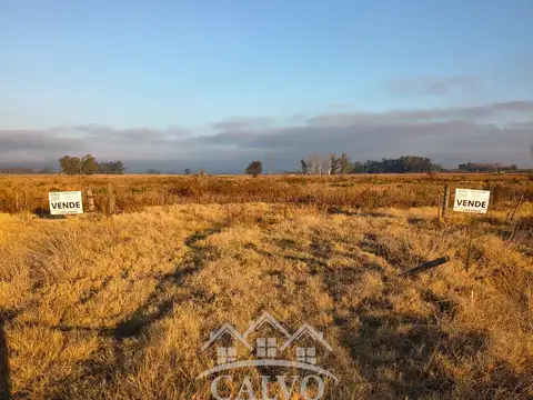 Campo 35HA Sobre Ruta Nacional 5. Mercedes, Buenos Aires.