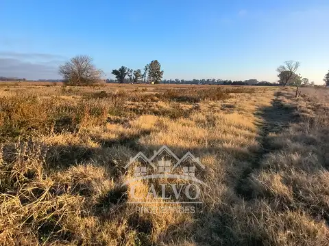 Campo en Venta Mixto
