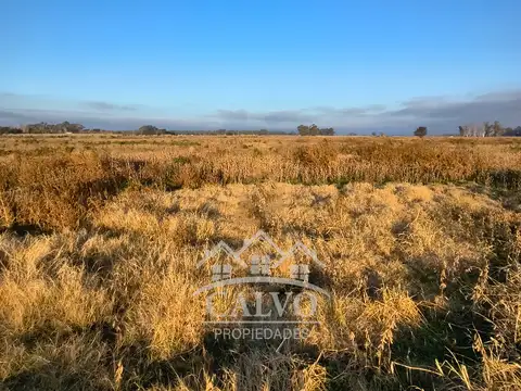 Campo en Venta de 35  ha