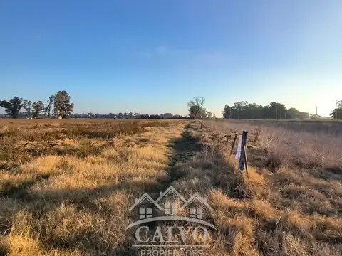 Campo 35HA Sobre Ruta Nacional 5. Mercedes, Buenos Aires.