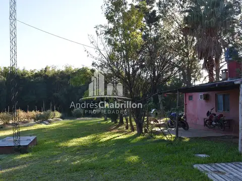 Hermana Clara y Virgen de Fátima 100