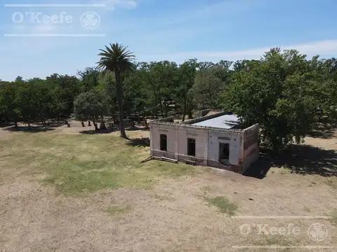 Carlos Keen 50 has deal Turismo y /o Producción- Caballos o Cria.