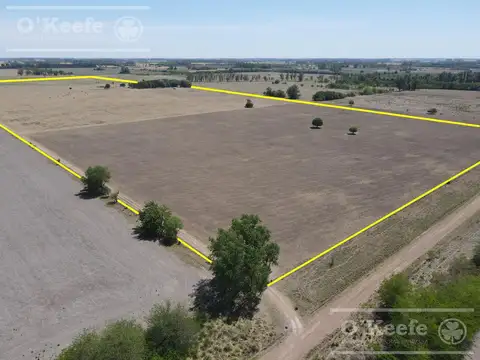 Carlos Keen 50 has deal Turismo y /o Producción- Caballos o Cria.