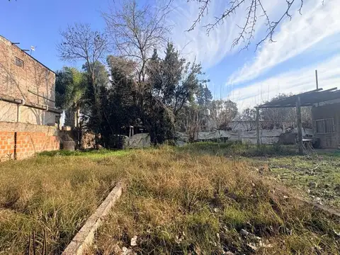 Monte Dinero