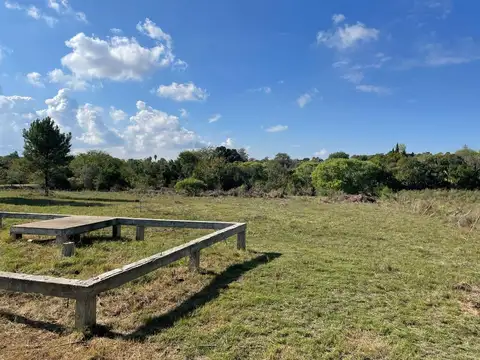 Tula Suarez de Cutinella e/ Guyunusa y Taboba