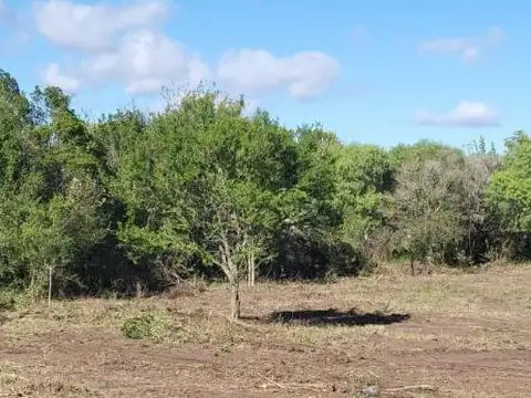 Terreno en Venta 26  mts Fondo