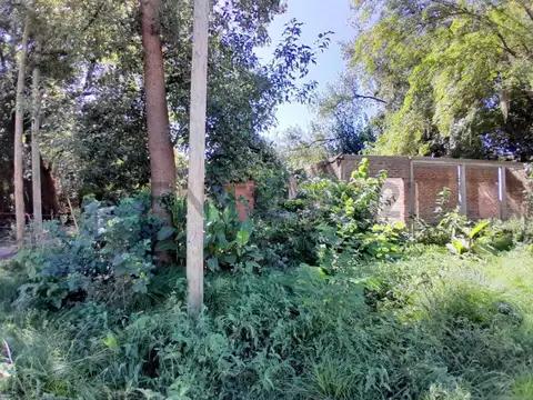 VENTA DE 2 TERRENOS CON CONSTRUCCION EN GRAL. RODRIGUEZ - Estrada y Gabriela Mis