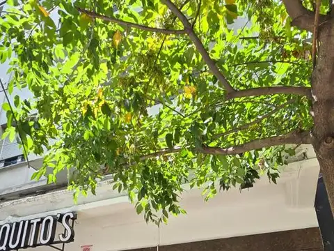 Departamento en Alquiler en La Plata, $ 680.000