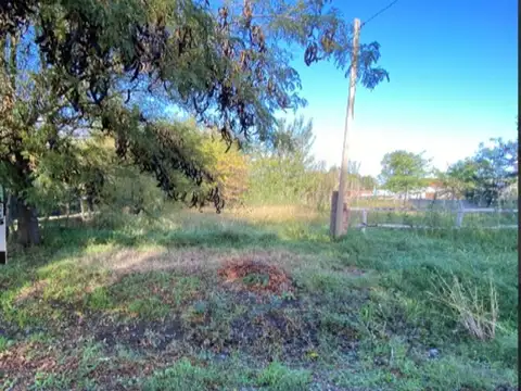 Terreno en Venta de 350,0 m2