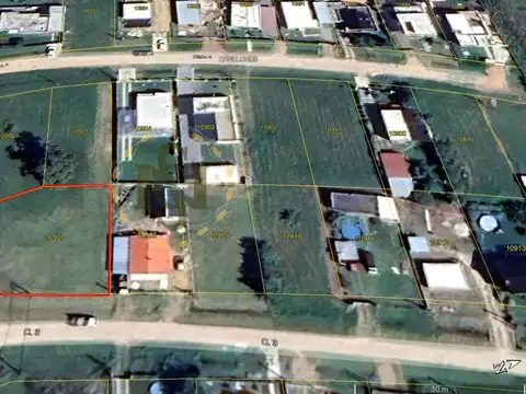 RUTA 101 100