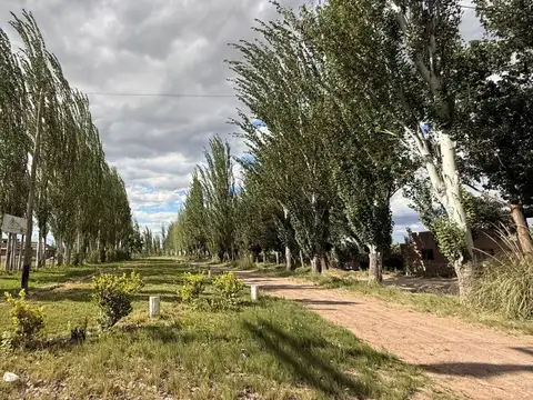 Terreno en Venta de 2000,0 m2