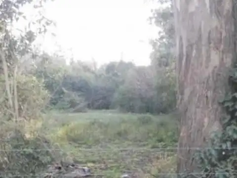 LOTE DE TERRENO "EN VENTA" EN LOMA VERDE