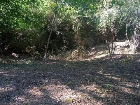 Terreno en Venta 40  mts Fondo