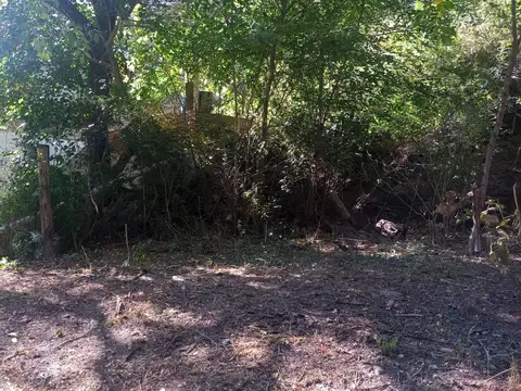 Terreno en Venta 16  mts Frente