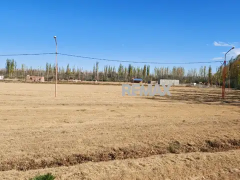 Los Ceresos 100