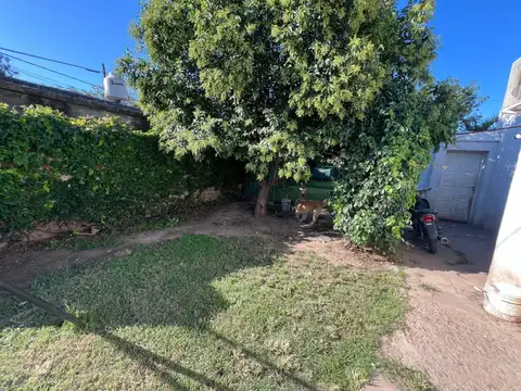 Solanos Rubios 4000