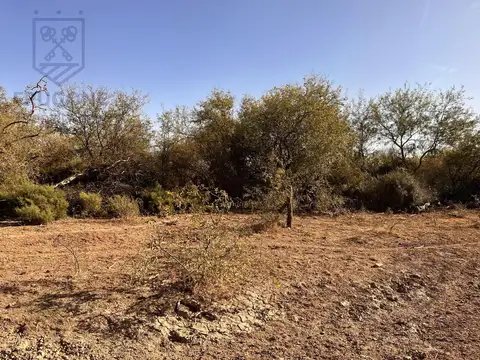 Campo - desmonte - Percas - avellaneda - santiago del estero