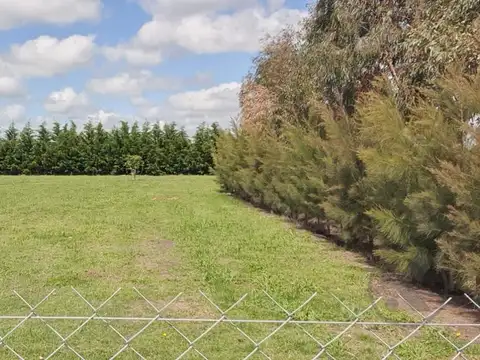 VENTA| CAMPO EN CORONEL VIDAL|47 HA