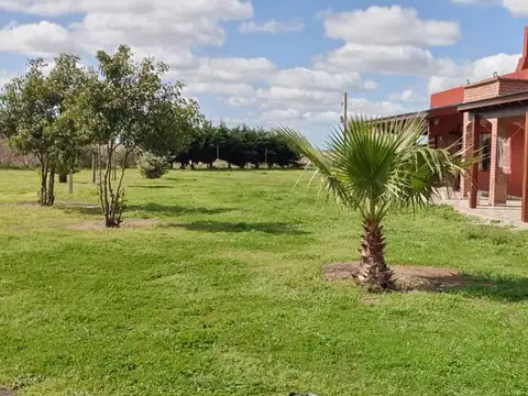 VENTA| CAMPO EN CORONEL VIDAL|47 HA