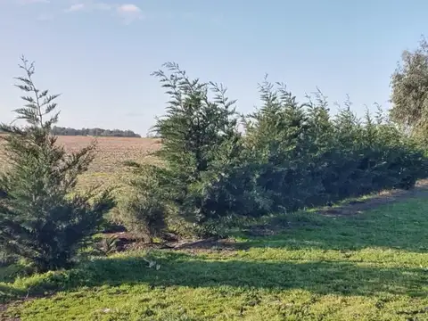 Campo en  Coronel Vidal