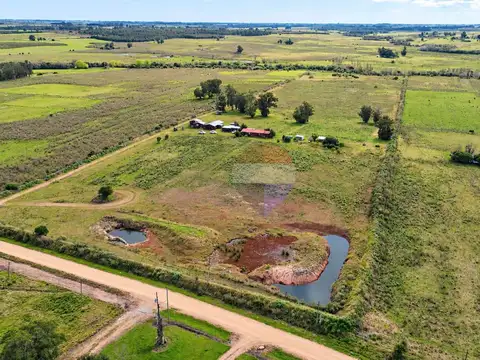 VENTA CHACRA 11 HA, CABAÑAS MONTE NATIVO ARROYO