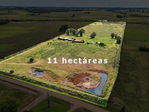VENTA CHACRA 11 HA, CABAÑAS MONTE NATIVO ARROYO