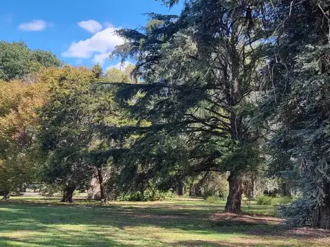 Terreno en Venta de 3436,0 m2