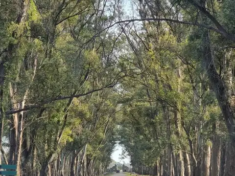 Bernardino Rivadavia km 14,5