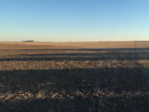 Campo en  gobernador castro
