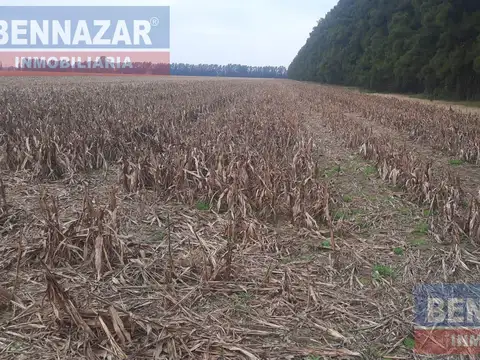 Campo en  gobernador castro