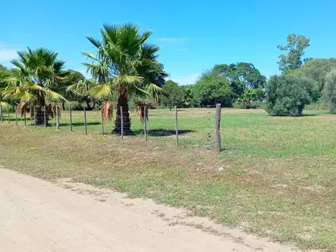 Calle pública S/N