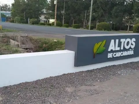 Altos De Carcaraña 100