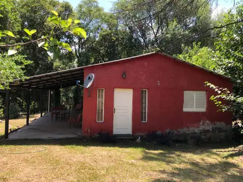 ruta provincial n° 4 y las orquideas 100