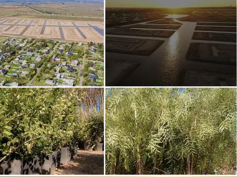 Jujuy y Mendoza