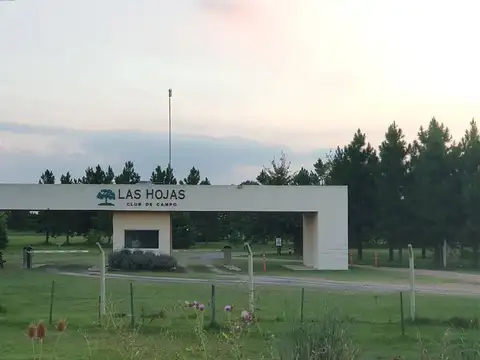 Terreno en Venta 50  mts Fondo