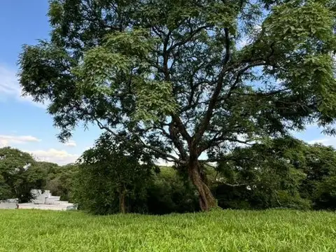 Terreno en Venta en San Lorenzo Chico, USD 120.000