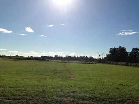 Terreno en Venta 12  mts Fondo