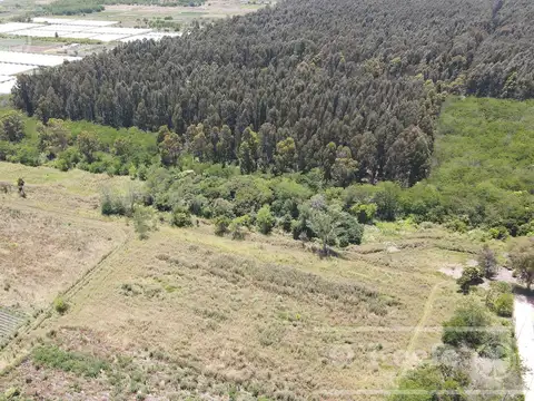 Terreno en Venta de 333,0 m2