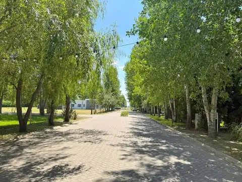 Terreno en Venta de 738,0 m2