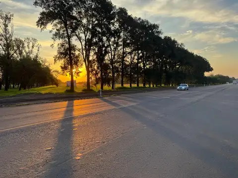venta de campo en general lagos sobre ruta 21